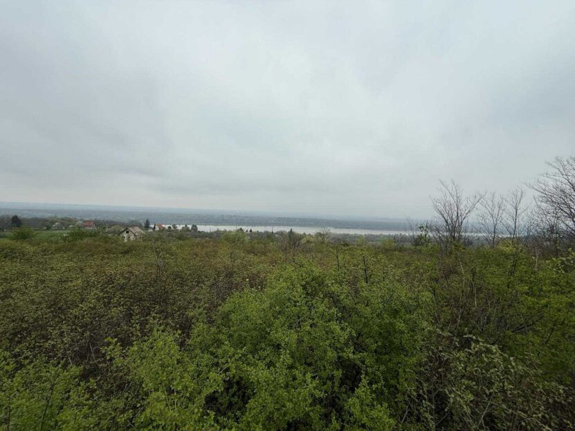 video image