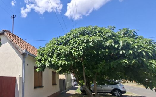 KUĆA U INĐIJI NA UGAONOM PLACU – USELJIVA ODMAH!