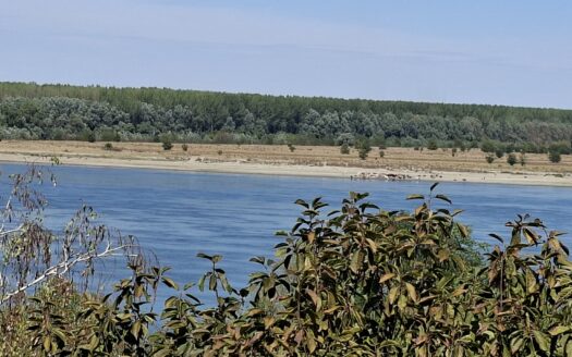 Vikendica sa najlepšim pogledom na Dunav-Beška